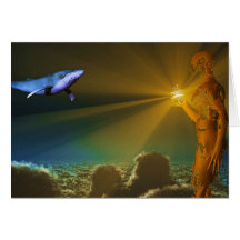 Night Flight Card