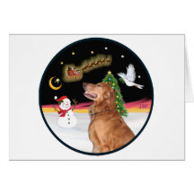 Night Flight (R) - Golden (head B) Card
