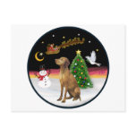 Night Flight (R) - Vizsla