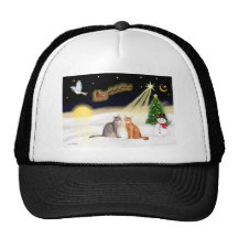 Night Flight - Two Abyssinian cats Trucker Hats