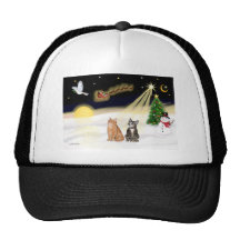 Night Flight - Two Tabby Cats Hat