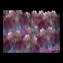 Night Flowers, Halima Ahkdar posters