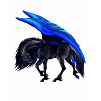 Night Flyer T-Shirt