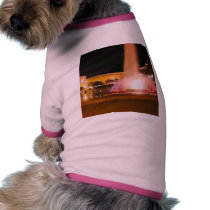 Night Fountains Balboa Park pet clothing by lifesphere Night Fountains Balboa Park pet clothing
