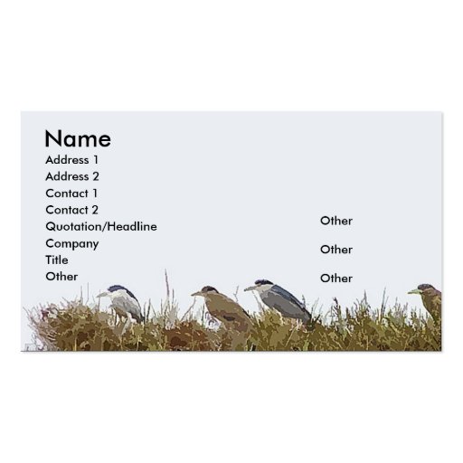Night Heron Business Card (front side)