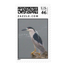 Night Heron Stamps