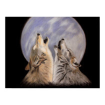 Night Howls posters
