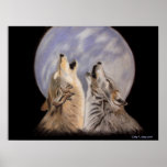 Night Howls (Wolves) Posters