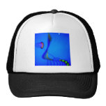 night insect hat