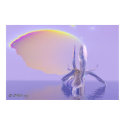 Night Iris posters by Sharon_Webb Night Iris posters