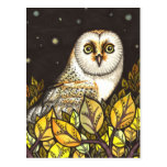 Night is full of wonders - barn owl post card
