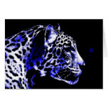Night Jaguar Cards