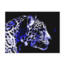 Night Jaguar Post Card
