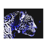 Night Jaguar Post Card