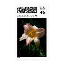 Night Lily postage by closphotos Night Lily postage