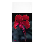 Night Lingers photo by  JLH Photo Greeting Card
