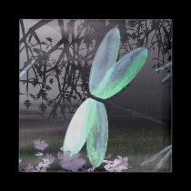 Night of the Dragonflies magnets