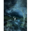 Night of the white horse print
