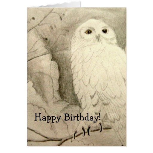 bird-birthday-cards-the-cool-card-shop