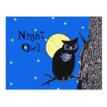 Night Owl in the Moon PostCard