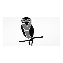 night owl owlet photo cards by Tomaniac night owl owlet photo cards