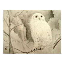 Night Owl Post Cards