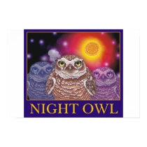 Night Owl posters