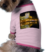 Night Ponds Water Balboa Park pet clothing by lifesphere Night Ponds Water Balboa Park pet clothing