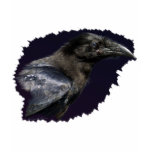 Night Raven Gifts Night Raven Gifts