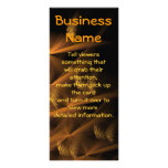 Night Reeds Rack Cards
