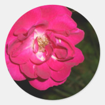 Night Rose CricketDiane Art & Photography Round Stickers