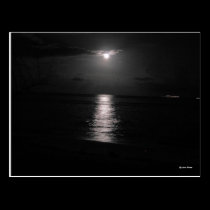 Night Sea postcards