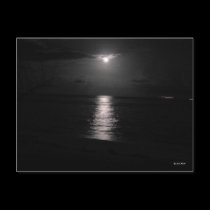 Night Sea postcards