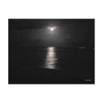 Night Sea postcards