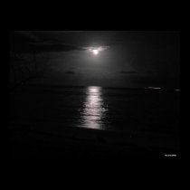 Night Sea posters