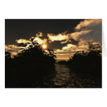 Night Skies cards