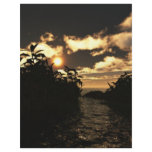 Night Skies letterhead