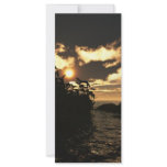 Night Skies rack cards