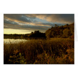 Night Sky I - Glory at Dusk cards