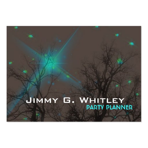 Night Sky - Party planner Card Business Cards (front side)
