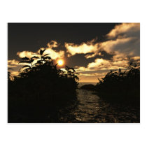 Night Sky postcards