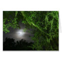 Night Sky with Moon cards