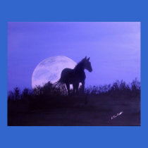 Night Spirit posters