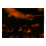 Night Stalker Greeting Cards