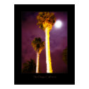 Night Time in San Diego posters by crstffr Night Time in San Diego posters