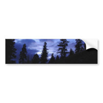 Night Trees Sky Skies Clouds bumper stickers