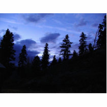 Night Trees Sky Skies Clouds photo sculptures