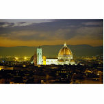 Night view of Florence, Italy Cut Outs