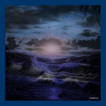 Night View posters