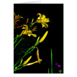 Night Vision Greeting Cards